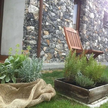 Il Giglio 2*